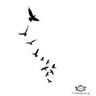 Wickedly Lovely Frreedom, Birds in flight Wickedly Lovely Skin Art Temporary Tattoo (includes 2 tattoos)