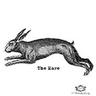 Wickedly Lovely The Vintage Hare tattoo, rabbit tatoo, vintage rabbit tattoo, animal tattoo, Body Art, Skin art, Wickedly Lovely Skin Art Temporary Tattoo