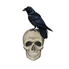 Wickedly Lovely Skull with Raven Wickedly Lovely Skin Art Temporary Tattoo ( includes 2 tattoos)