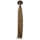 Euronext Premium Remy 14-inch Clip-In Human Hair Extensions Blonde Frost in Dark Blonde Frost