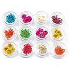 Amazon TOOGOO(R) 12 kinds dried flower nail art Ongles decoration