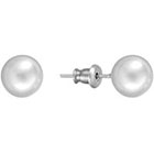 Chaps Silver-Tone Ball Stud Earrings