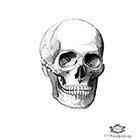 Wickedly Lovely Skull Wickedly Lovely Skin Art Temporary Tattoo (includes 2 tattoos)