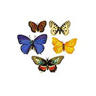 The Fickle Tattoo Vintage Small Butterfly Temporary Tattoos - 