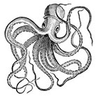 The Fickle Tattoo Vintage Octopus Temporary Tattoos - 