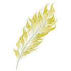 myTaT Gold Feather Tattoo, Gold & Silver Feather, Feather Metallic Tattoo (Set of 2)