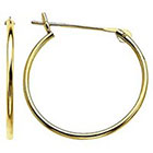 Target 10k Yellow Gold Hoop Earrings