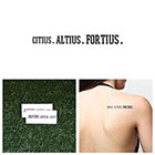 Tattify Dauntless - Temporary Tattoo (Set of 2)
