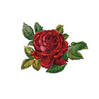 The Fickle Tattoo Vintage Rose Temporary Tattoo - 