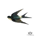 Wickedly Lovely Vintage Swallows, Bird tattoo, Body Art, Wickedly Lovely Skin Art Temporary Tattoo ( includes 2 tattoos)