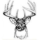 WildLifeDream Deer - Temporary tattoo