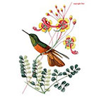 WildLifeDream Flowers and hummingbird - Temporary tattoo