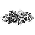 Taboo Tattoo 2 Vintage Roses Temporary Tattoo, various sizes available