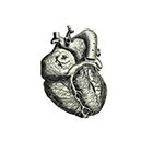 Taboo Tattoo 2 Vintage Heart Temporary Tattoo, various sizes available Pirate Halloween Gothic Scientific