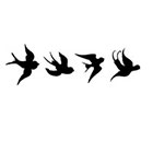 Taboo Tattoo 2 Sets of 4 Birds Temporary Tattoo, various sizes available wrist finger ankle