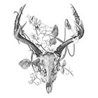 WildLifeDream Deer skull and flowers - Temporary tattoo