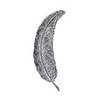 Tattoorary Temporary large feather tattoo