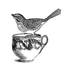Tattoorary Vintage bird in teacup temporary tattoo