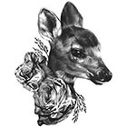 WildLifeDream Deer - Temporary tattoo