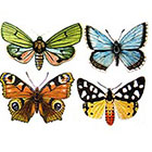 Ombeyond TEMPORARY TATTOO - Vintage Butterfly or Monarch Butterflies