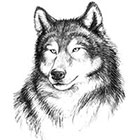 WildLifeDream Wolf - Temporary tattoo