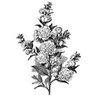 WildLifeDream Vintage Flowers - Temporary tattoo