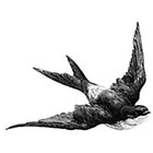 WildLifeDream Swallow - Temporary tattoo