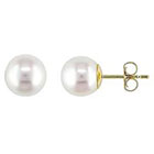 Allura 7-7.5mm Cultured Pearl Stud Earrings in 14k Yellow Gold