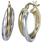 Target 2 Tone Double Tube Hoop Earring - Gold Fusion