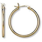 Target Gold Plated Tube Hoop Earrings (2X30mm)