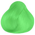 Pravana ChromaSilk Neons Creme Hair Color in Neon Green