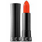Sephora Rouge Shine Lipstick in No. 29 Latin Lover - Glossy
